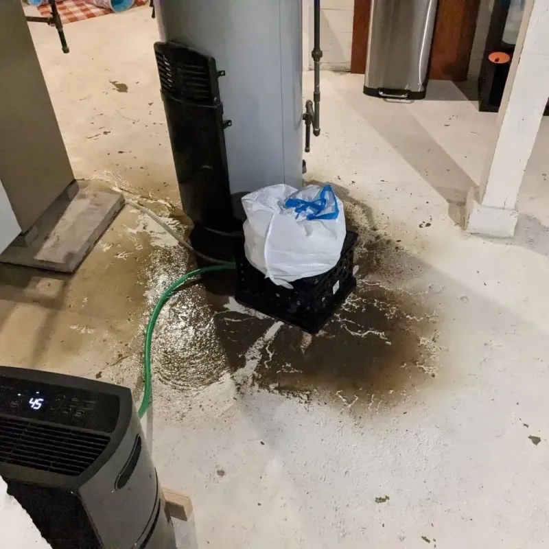 Sewage Backup Cleanup Service in Camp Meeker, CA